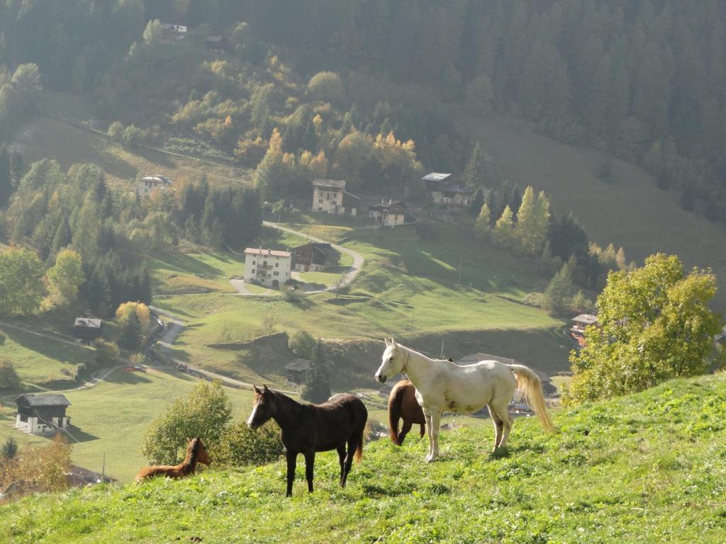 B&B Mas Di Zonadi Rabbi Zewnętrze zdjęcie