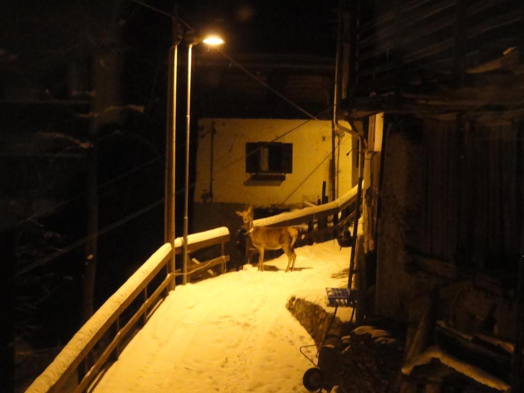 B&B Mas Di Zonadi Rabbi Zewnętrze zdjęcie